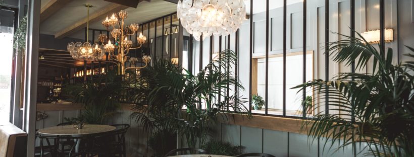 table and plants